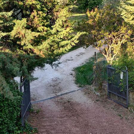 Il Rusticano Chianni Eksteriør bilde