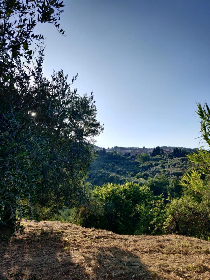 Il Rusticano Chianni Eksteriør bilde