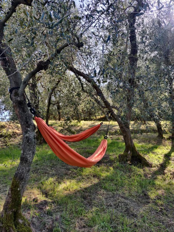 Il Rusticano Chianni Eksteriør bilde
